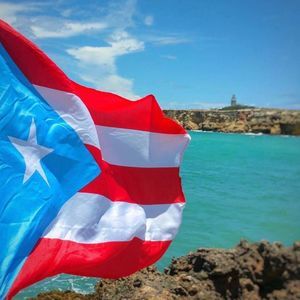 Meet your Posher, Olga